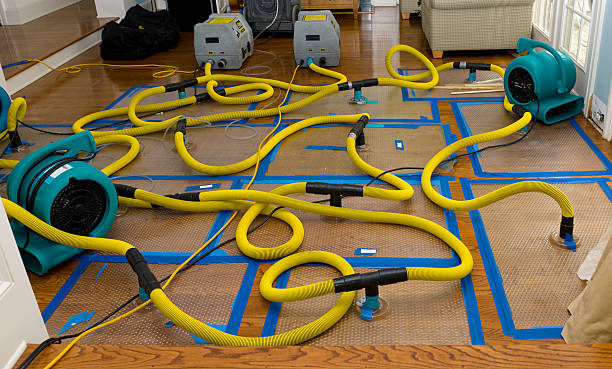 Professional Water Damage Restoration technician working in Filion, MI