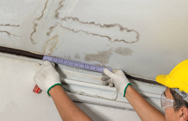 Affordable Water Damage Repair solutions in Filion, MI